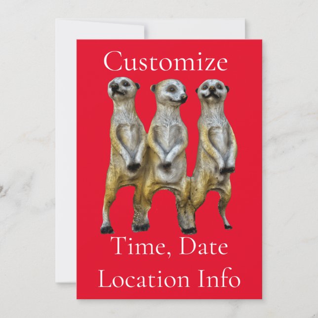 3 Standing Meerkats Thunder_Cove  Invitation (Front)