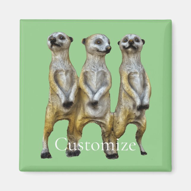 3 Standing Meerkats Thunder_Cove  Magnet (Front)