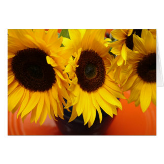 3 sunflowers