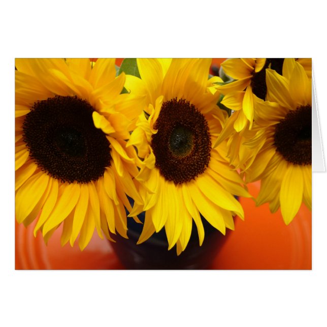 3 tournfleurs (Devant horizontal)
