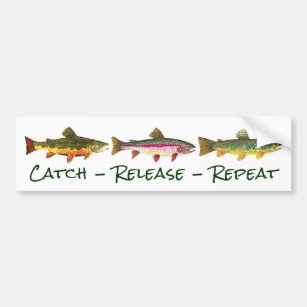 3 Trout for Fly Fishing Fishermen and Fisherwomen Bumper Sticker