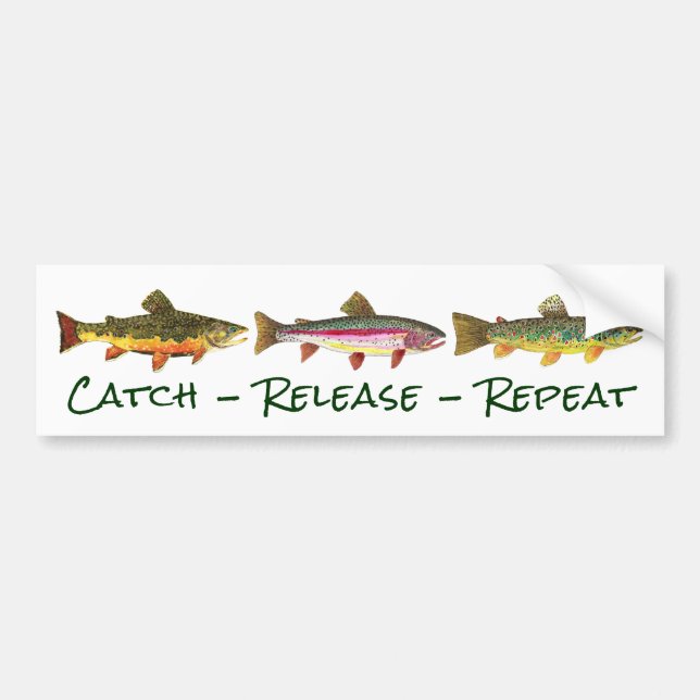 3 Trout for Fly Fishing Fishermen and Fisherwomen Bumper Sticker (Front)
