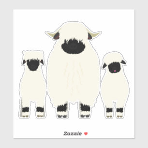 3 Valais Black Nose Sheep in a Row