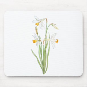 3 white daffodils in and watercolor mouse pad