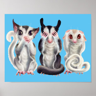 3 wise gliders poster