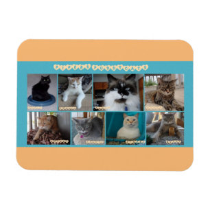 3 x 4 flexible magnet