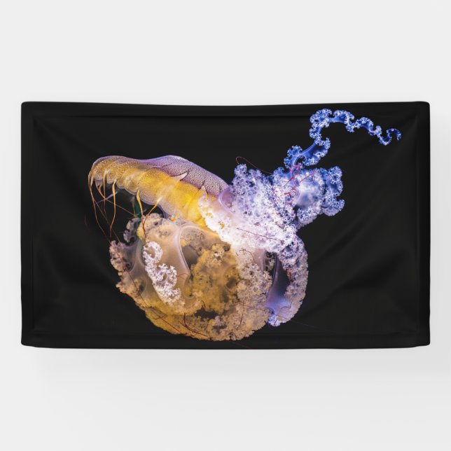 3' x 5' Banner (Horizontal)