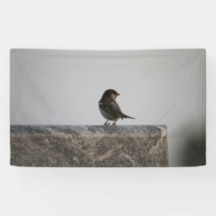 3' x 5' Banner