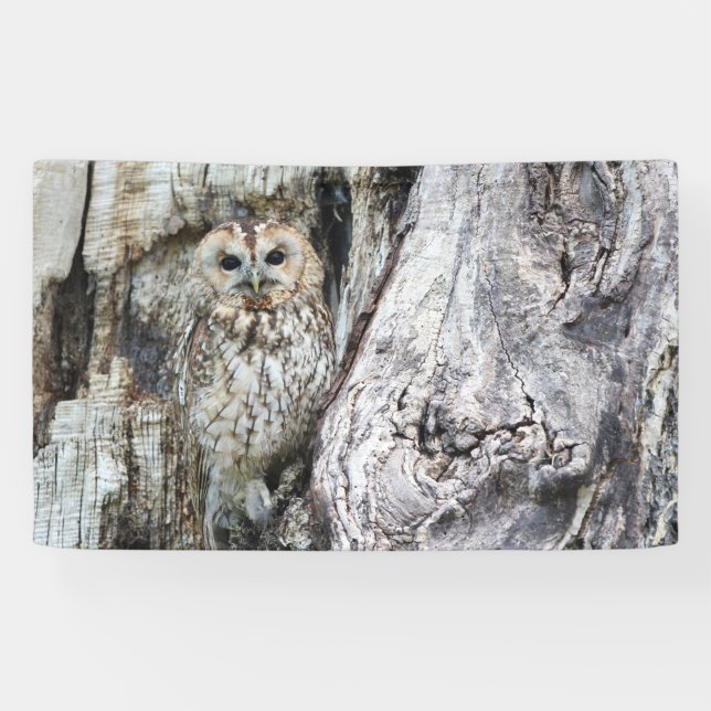 3' x 5' Banner (Horizontal)