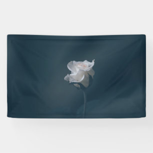 3' x 5' Banner