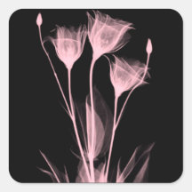 3 X-Ray Flowers Wine Label