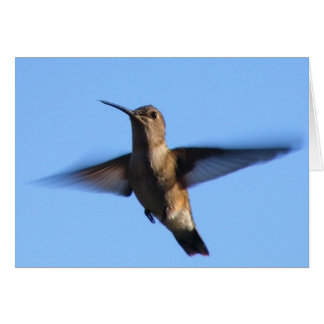 3aJ Hummingbird Flying in a Blue Sky