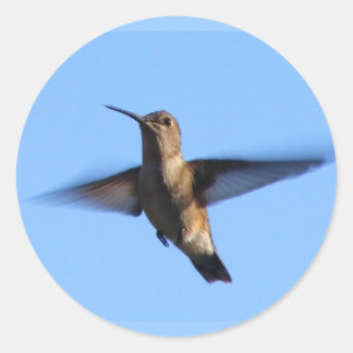 3aJ Hummingbird Flying in a Blue Sky Classic Round Sticker