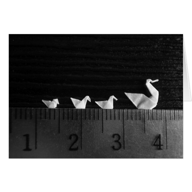 3cm Family Swim (Front Horizontal)