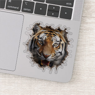 3D Jaguar Wall Break Art – Realistic Safari