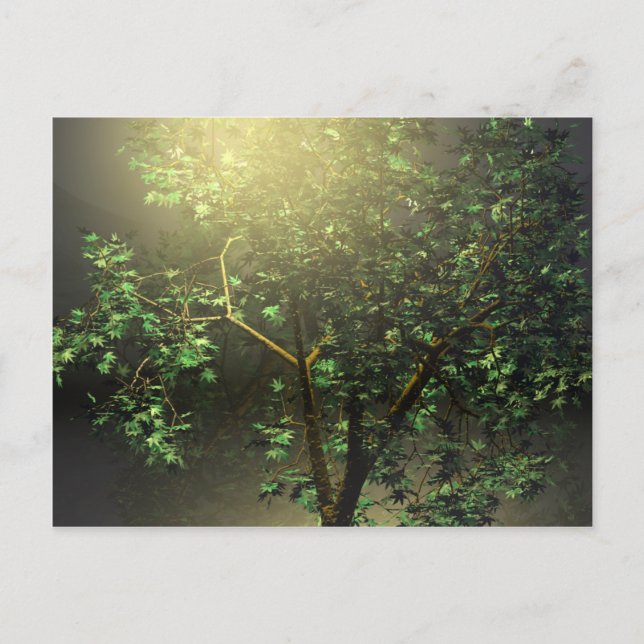 3D Japanese Maple Tree Postcard (Front)