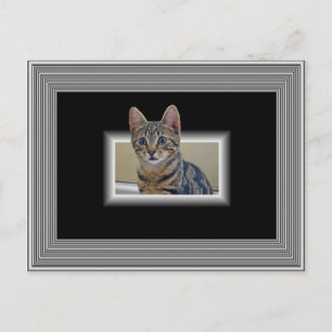 3D KITTY POSTCARD