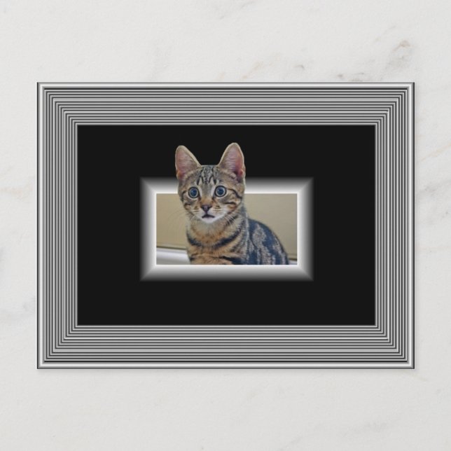 3D KITTY POSTCARD (Front)