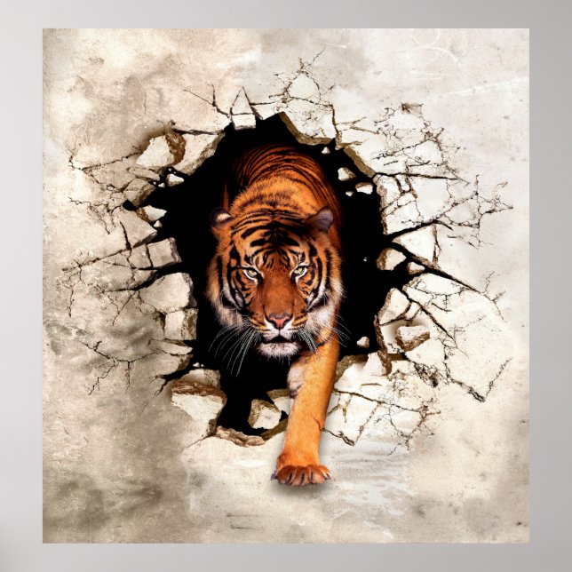 3d picture tiger emerges from the destroyed wallti poster (Front)