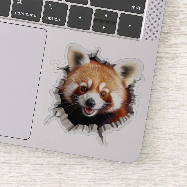 3D Red Panda Wall Break Art – Realistic Safari (Detail)