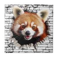 3D Red Panda Wall Break Art – Realistic Safari