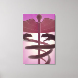3d rendered medical caduceus canvas print