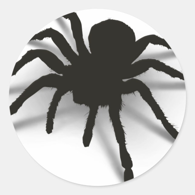3D Spider Classic Round Sticker (Front)