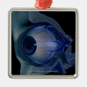 3d wireframe of the eye muscles in a socket metal ornament