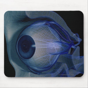 3d wireframe of the eye muscles in a socket mouse pad