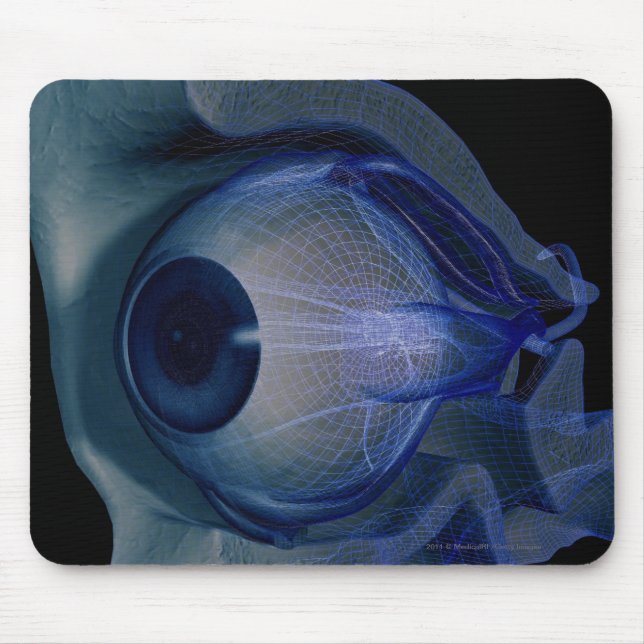 3d wireframe of the eye muscles in a socket mouse pad (Front)