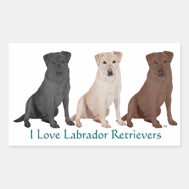 3Labs Sticker (Front)