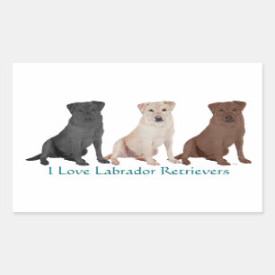 3Labs Sticker