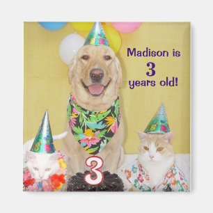 3rd Birthday Magnet