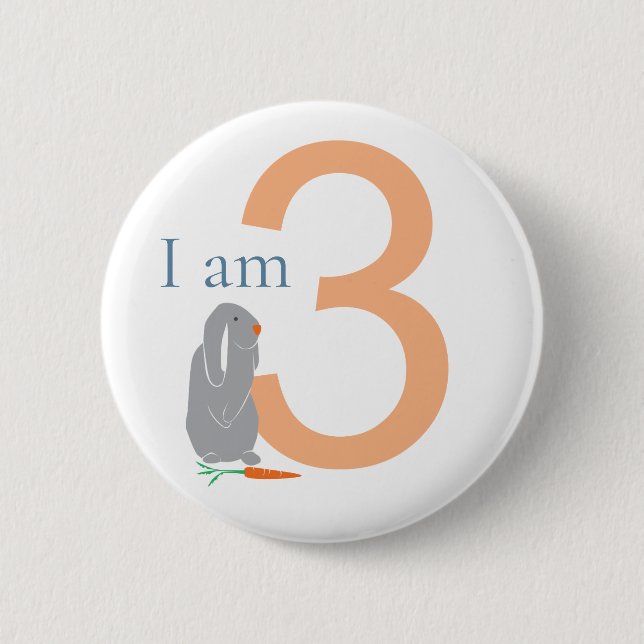 3rd Birthday Modern Minimal Grey Bunny 2 Inch Round Button (Front)