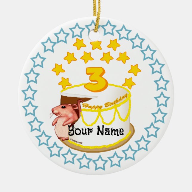 3rd Birthday Party Mouse Birthday  ornaments (Front)