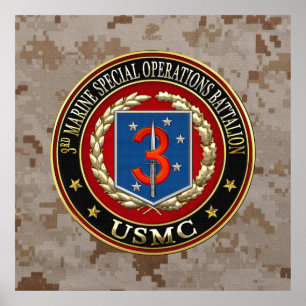 3rd MSOB [3D] Poster