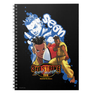 3rd Strike Sean Notebook