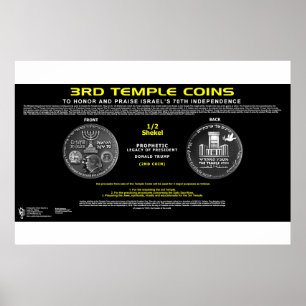 3rd Temple Coin-2 Poster