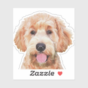 3x3 Custom-Cut Vinyl Sticker of golden doodle