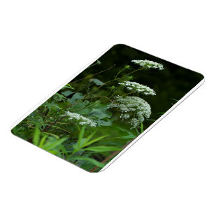 3x4 refrig magnet template