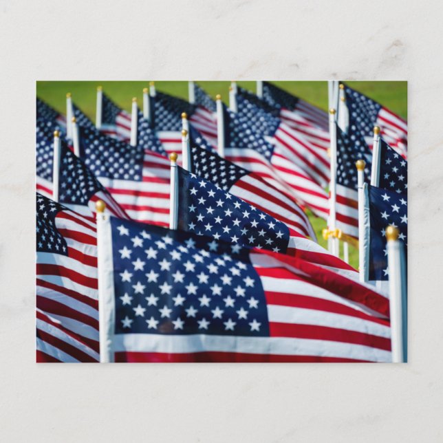 400 flags waving proudly in a field postcard (Front)