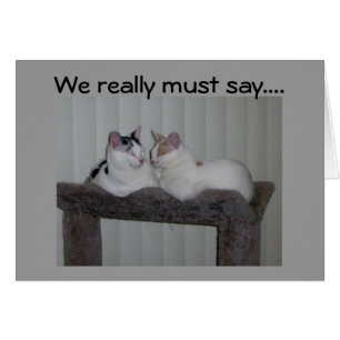 "40" LOOKS PURR-FECT ON YOU!