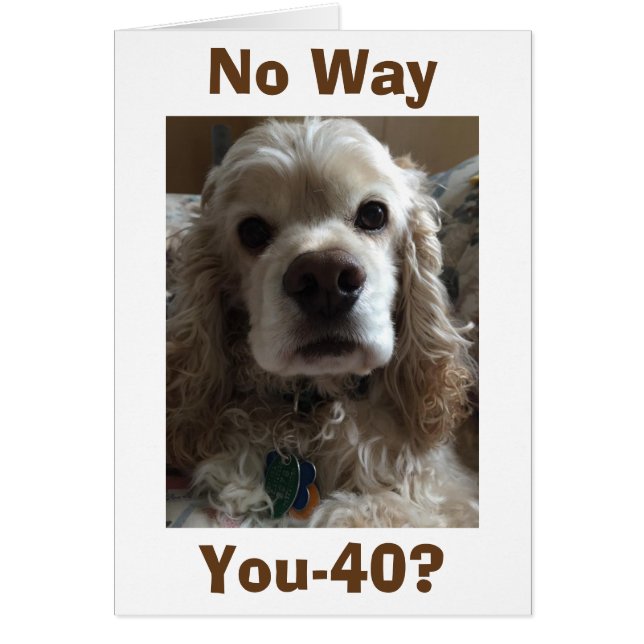 "40" NO WAY SAYS THIS CUTE COCKER SPANIEL (Front)