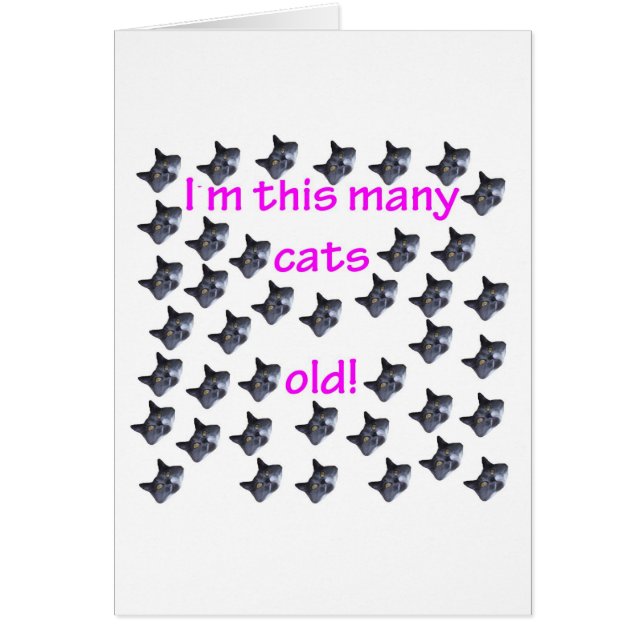 40 têtes de chat vieilles (Devant)