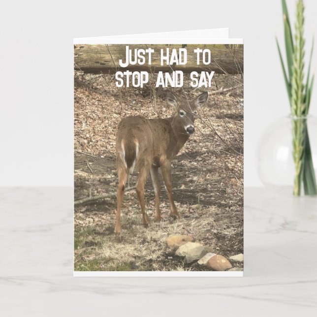 "40e ANNIVERSAIRE SOUHAITE" D'UNE Carte COOL DEER (Devant)