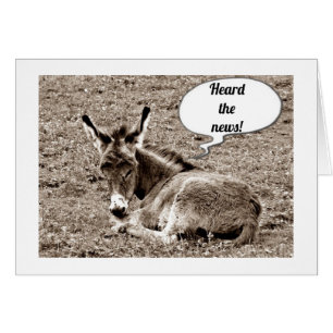 ***40E** CONSEILS D'ANNIVERSAIRE DE BÉBÉ MULE