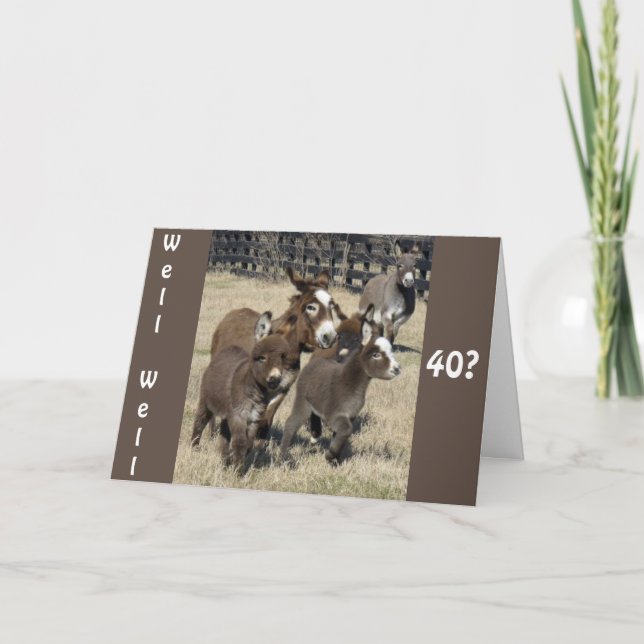 **40th BIRTHDAY HUMOR FROM DONKEYS NO LESS** Card (Front)