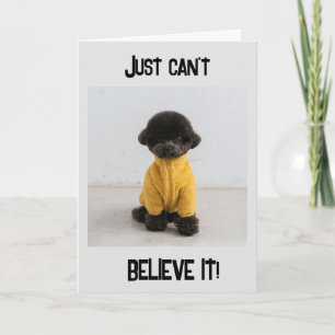 "40th BIRTHDAY??? JUST CAN'T BELIEVE IT Card