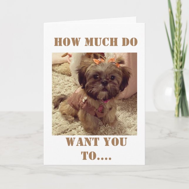 **40th BIRTHDAY** WISHES FROM THIS SWEET PUP Card (Front)