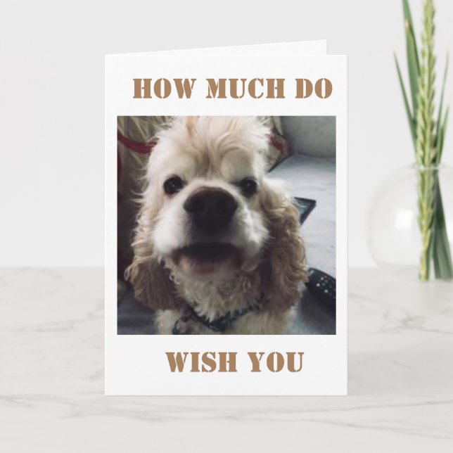 **40th BIRTHDAY** WOOF WOOF SAYS SPANIEL Card (Front)